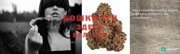 не бодяженный Беломорск