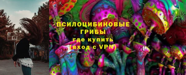 прущая мука Богородск